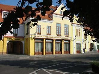 Hotel Traube Mediaş Zewnętrze zdjęcie